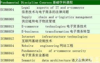 电子商务计专业工资